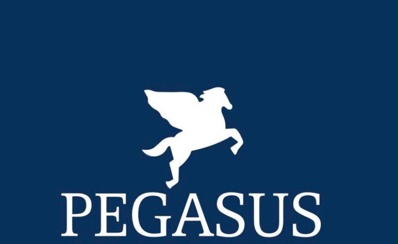 Pegasus Blackrock mark